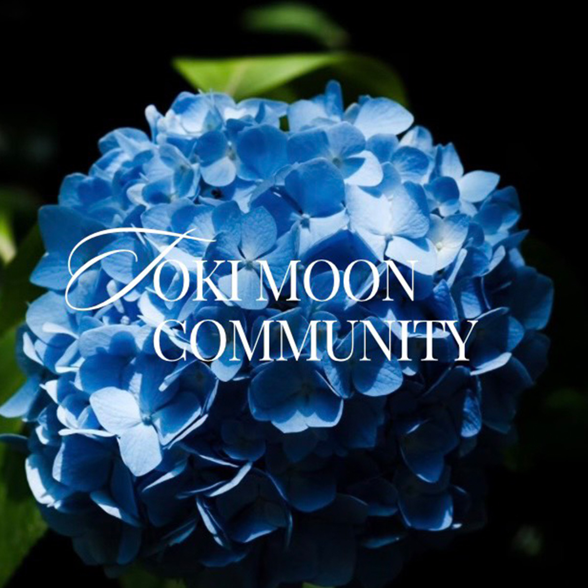 TOKI MOON COMMUNITY をはじめることになった理由 メイン写真